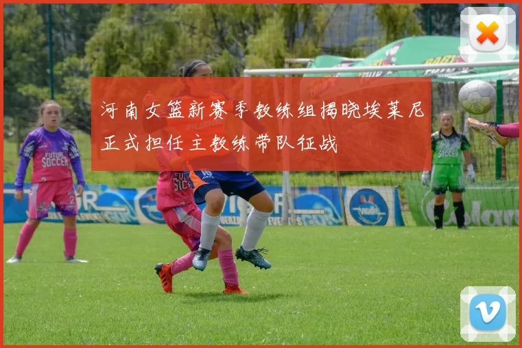 河南女篮新赛季教练组揭晓埃莱尼正式担任主教练带队征战